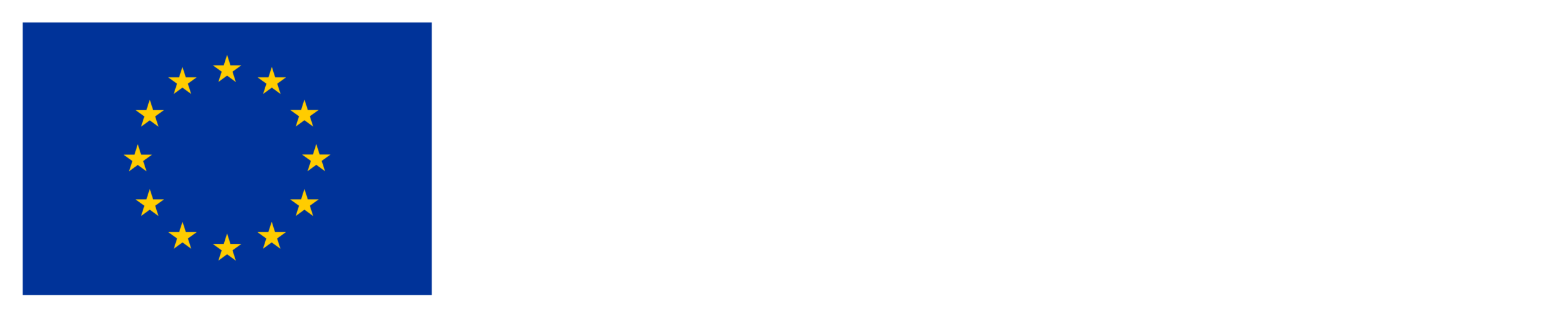 Co-funded by the European Union