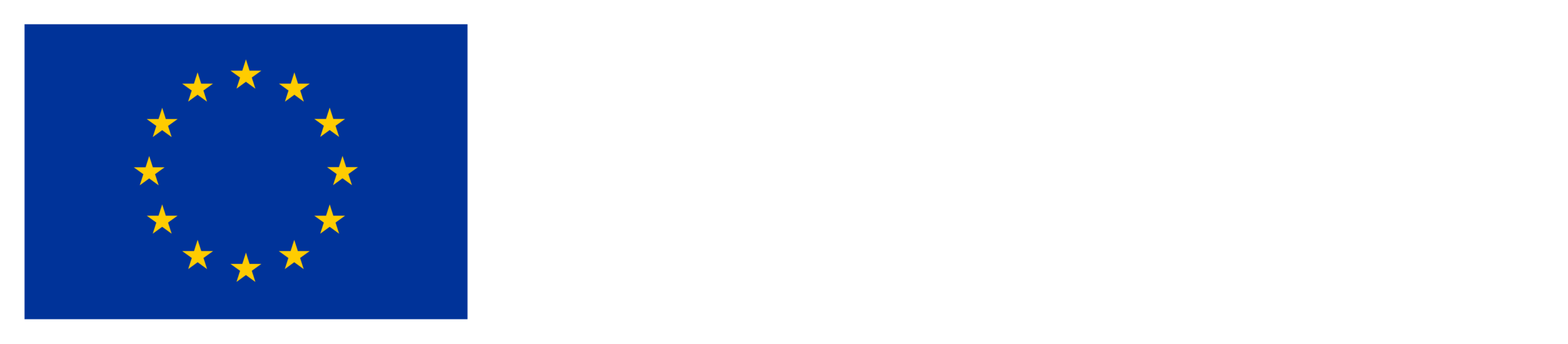 Co-funded by the European Union
