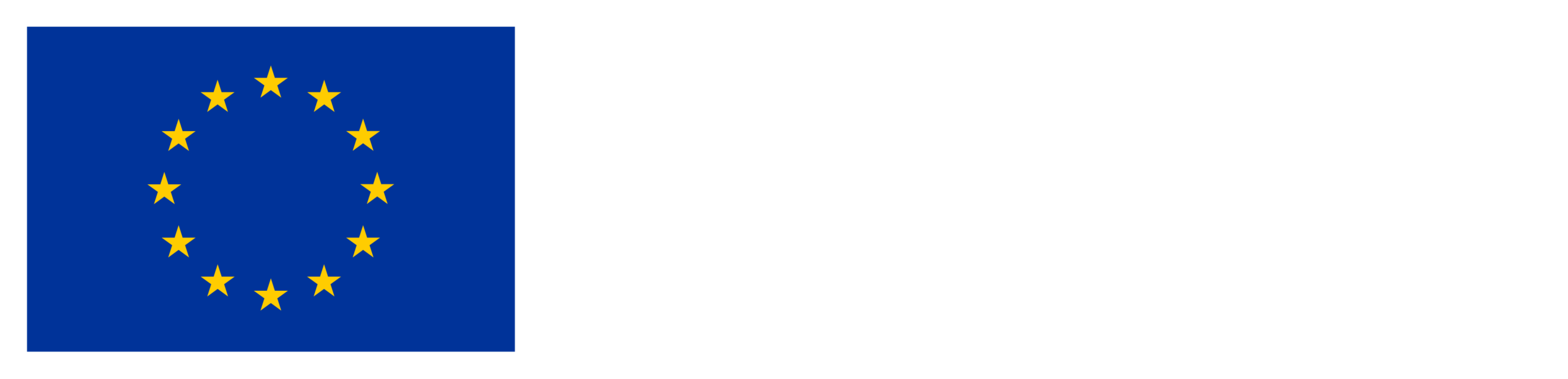 Co-funded by the European Union